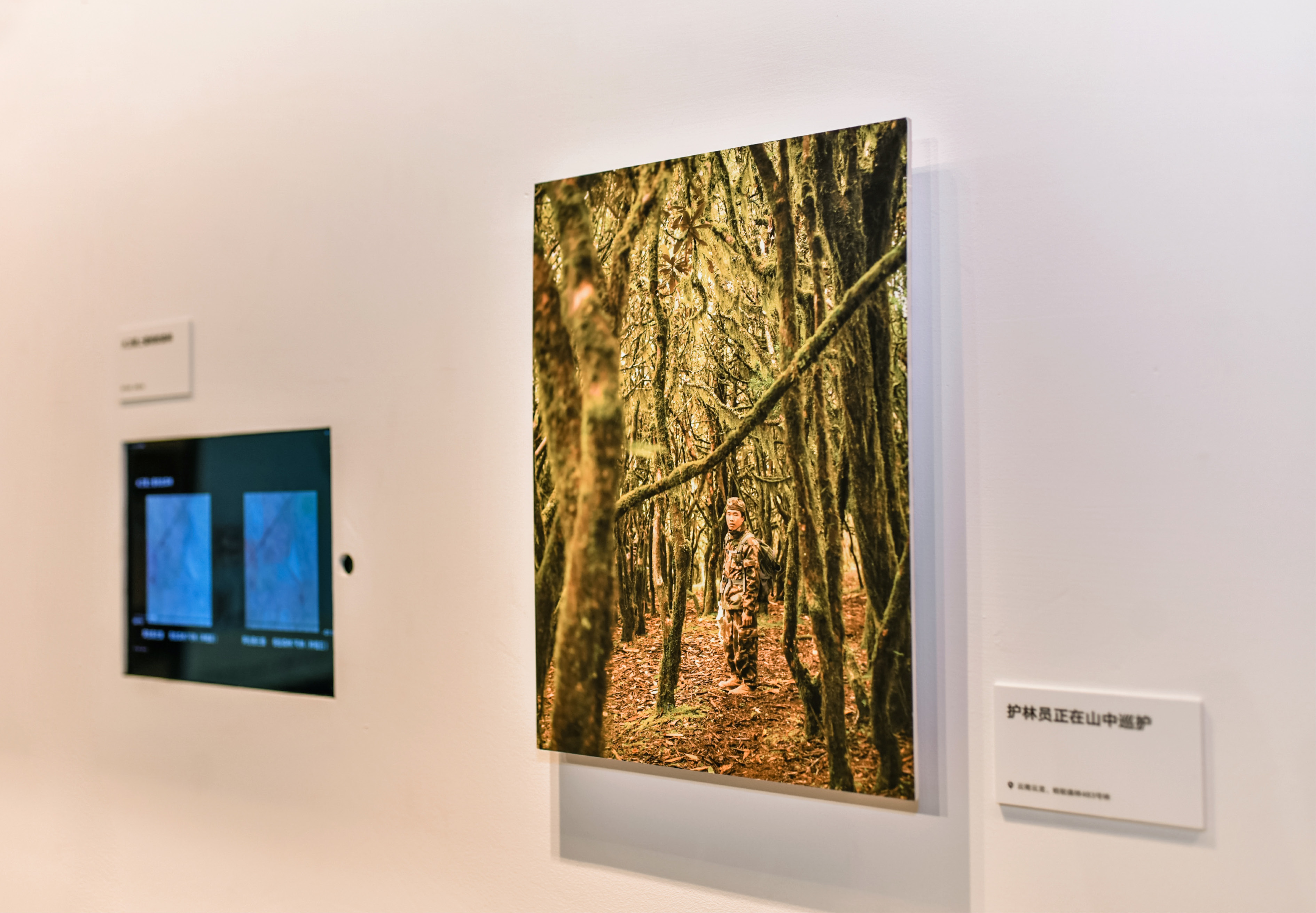 杭州天目里绿色嘉年华「森林里」丨中国杭州丨蚂蚁森林,杭州天目里,不是美术馆-46