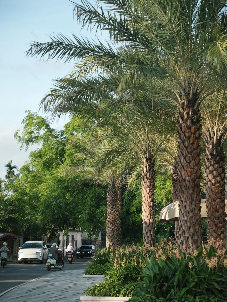 绿城·万宁海语春风丨中国海南丨杭州九沐景观设计有限公司,也火studio等-36