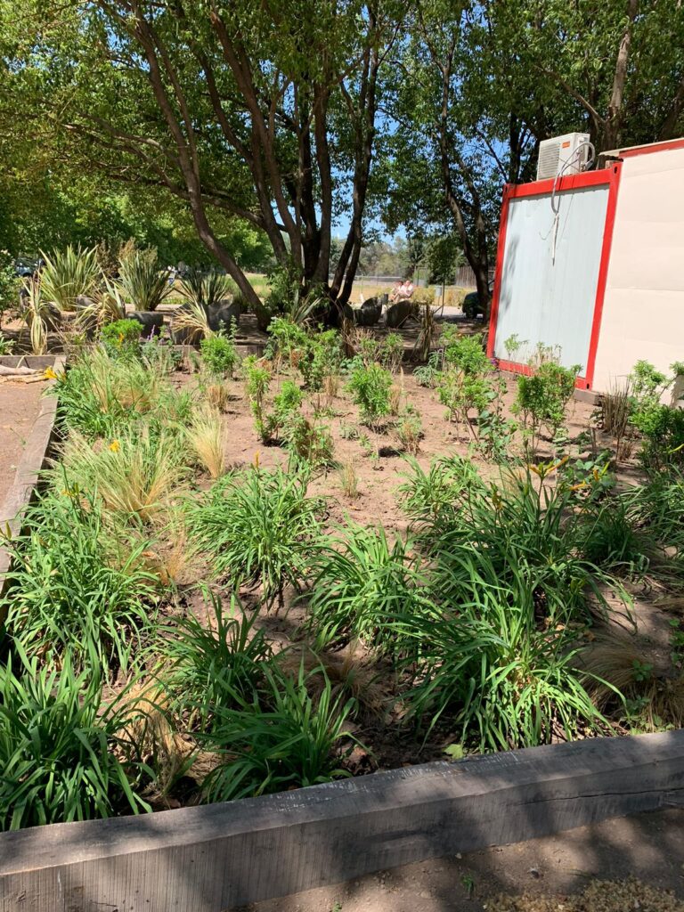 澳大利亚医院治疗花园设计项目丨阿根廷布宜诺斯艾利斯丨Valeria Lennon（农业工程师兼景观设计师）-28