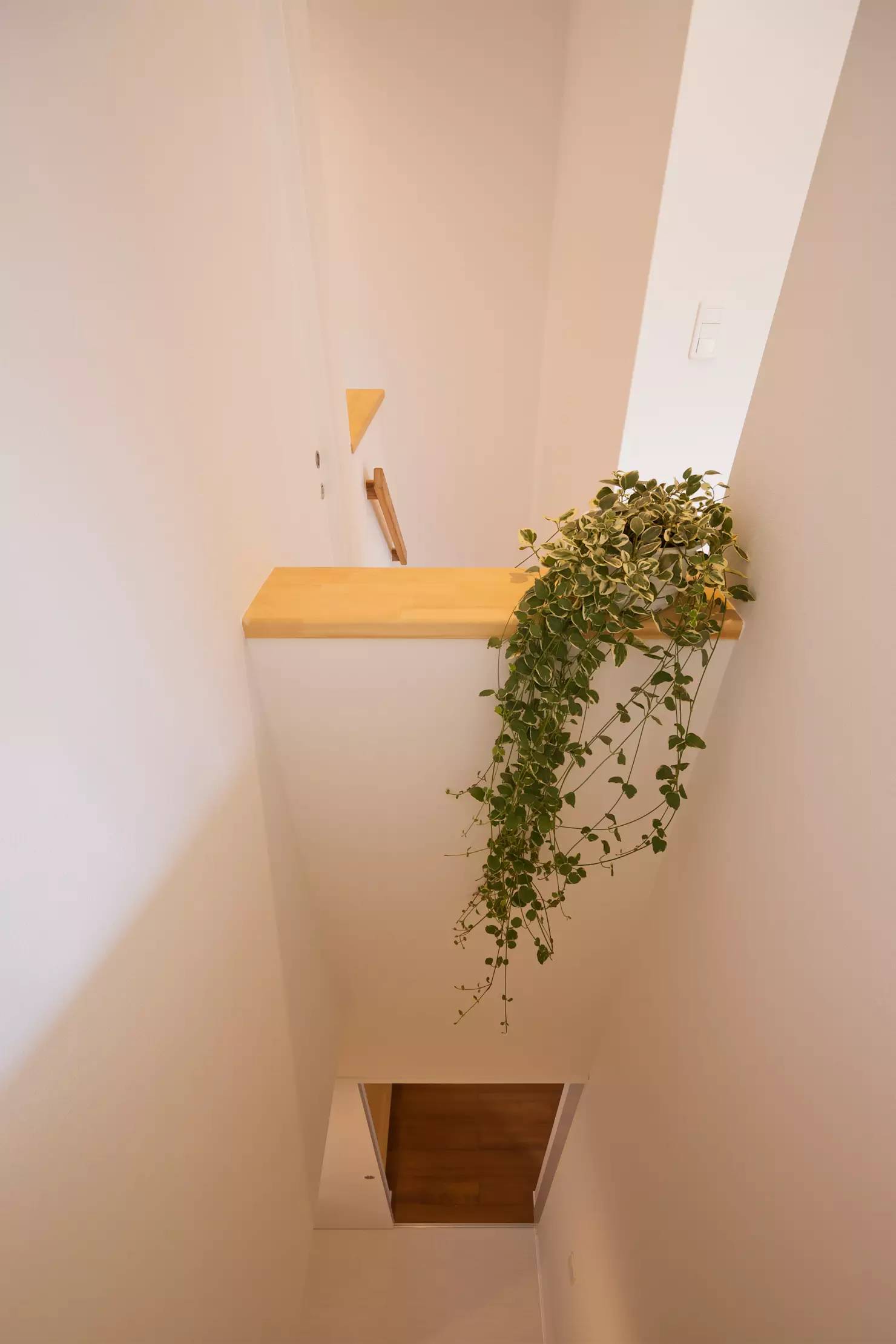 日本 Kochi 中山基地 舒适宜居的简陋住宅-4