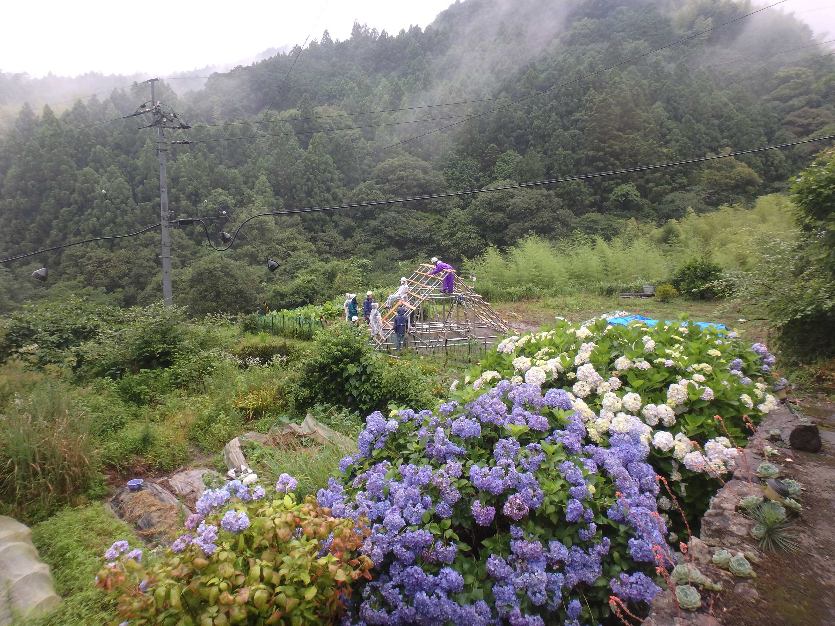 日本荒村自建神道神社，钢管木板创造神圣空间-14