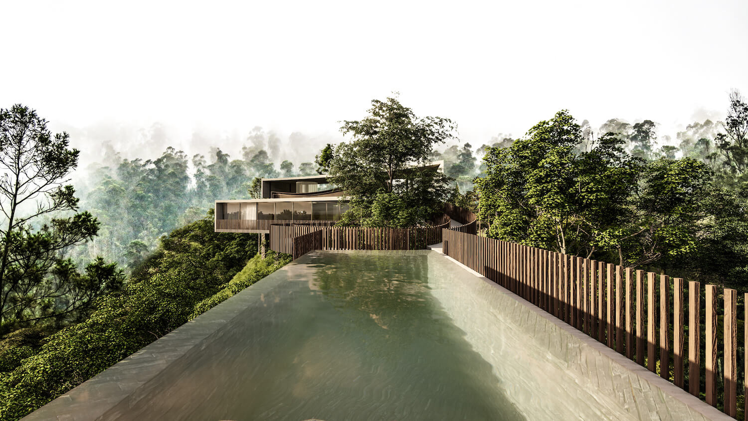 《树上的房子》-10