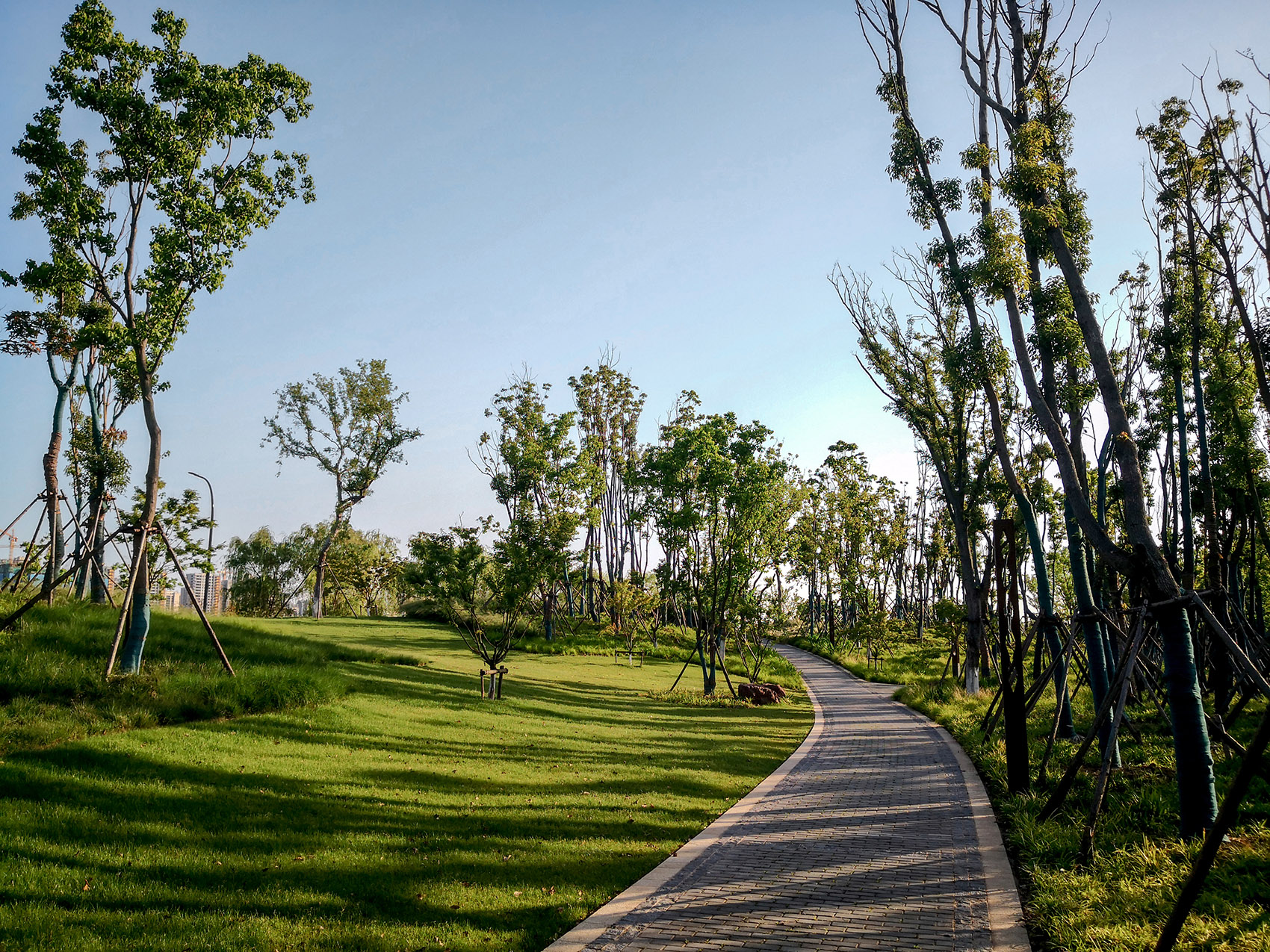 新加坡·南京生态科技岛-61