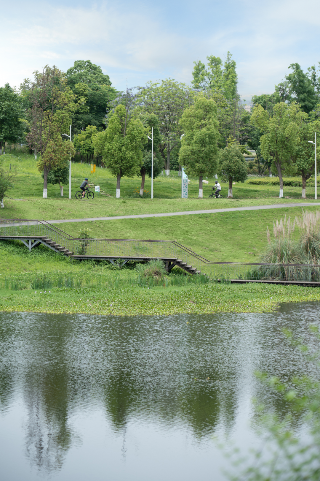 白鹭湾湿地公园自然探索基地丨中国成都丨上海柏熙标识有限公司-13
