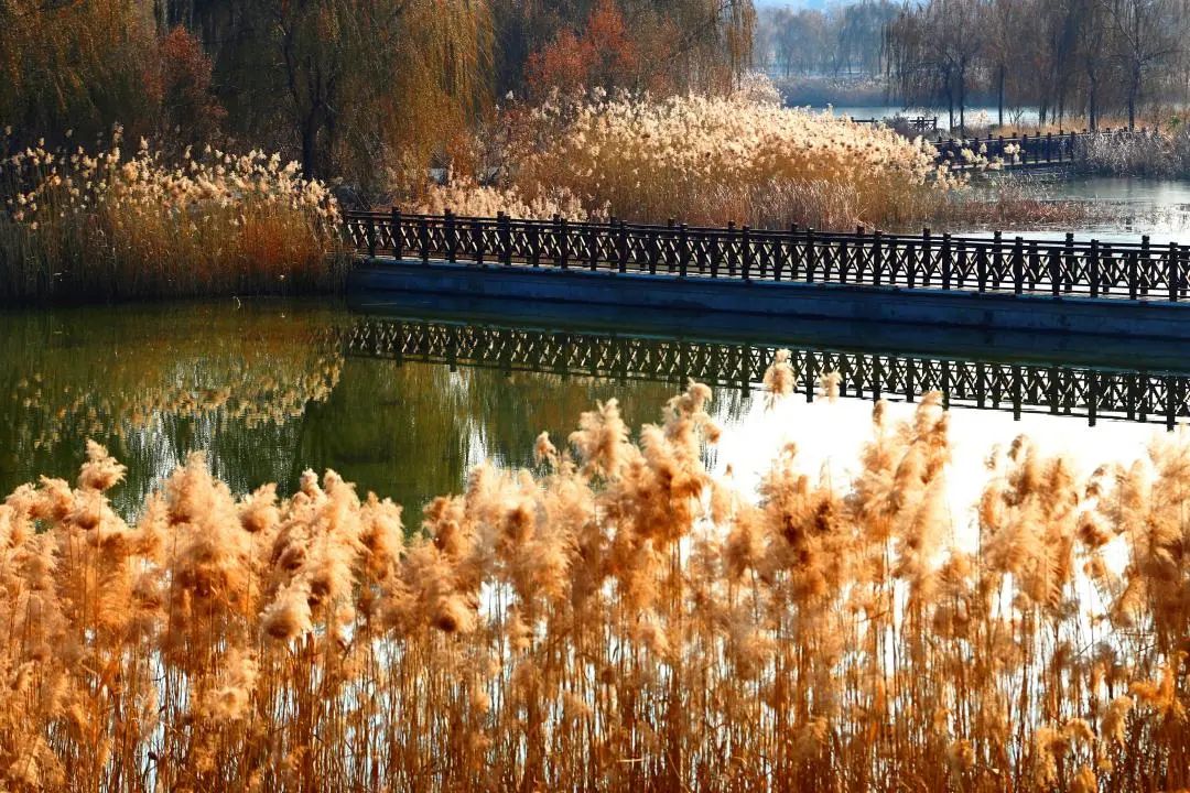 济南华侨城欢乐荟 | 文化地标之美-107