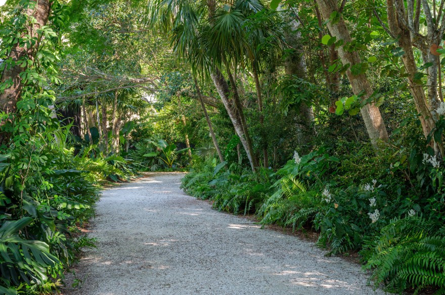 丨Raymond Jungles,Inc.-24