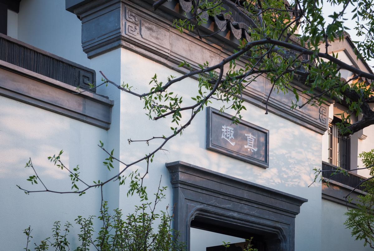 天津桃李春风-82