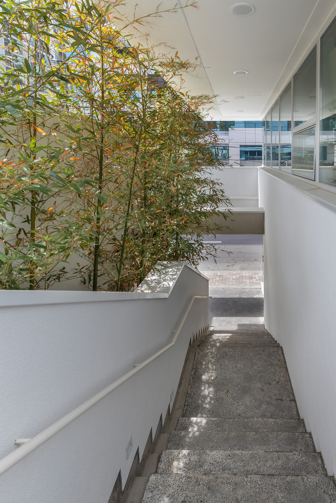 存在；是；处于-41