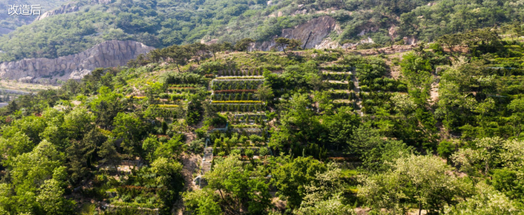 废弃矿山生态修复丨中国邯郸丨城乡与风景园林规划设计研究院-76