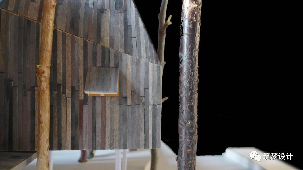 听闻 |这个春天到北京看树屋-28