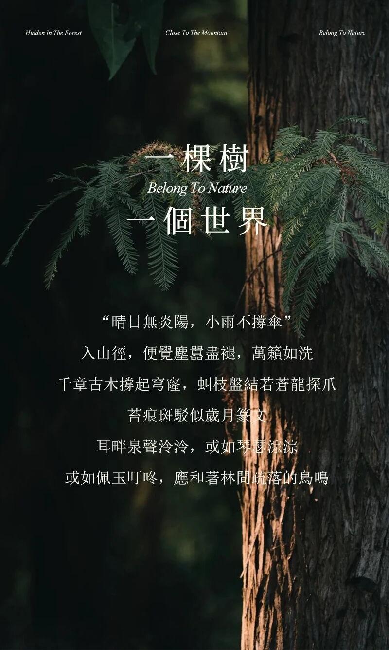 天目山树华酒店·希尔顿格芮精选丨中国杭州丨大象建筑设计有限公司（建筑,景观）-4