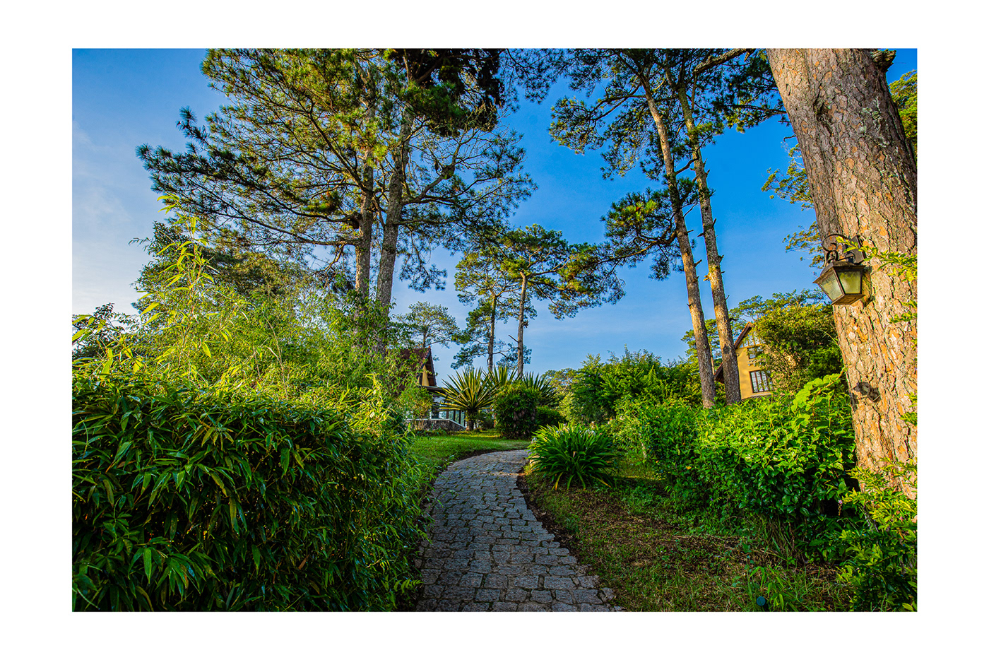 越南 Dalat Ana Mandara 别墅群丨BoStudio-20