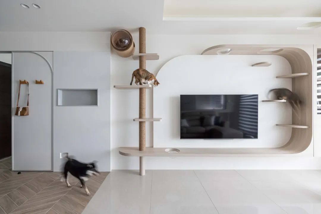 120㎡猫奴的家，温润自由的开心乐园！-12