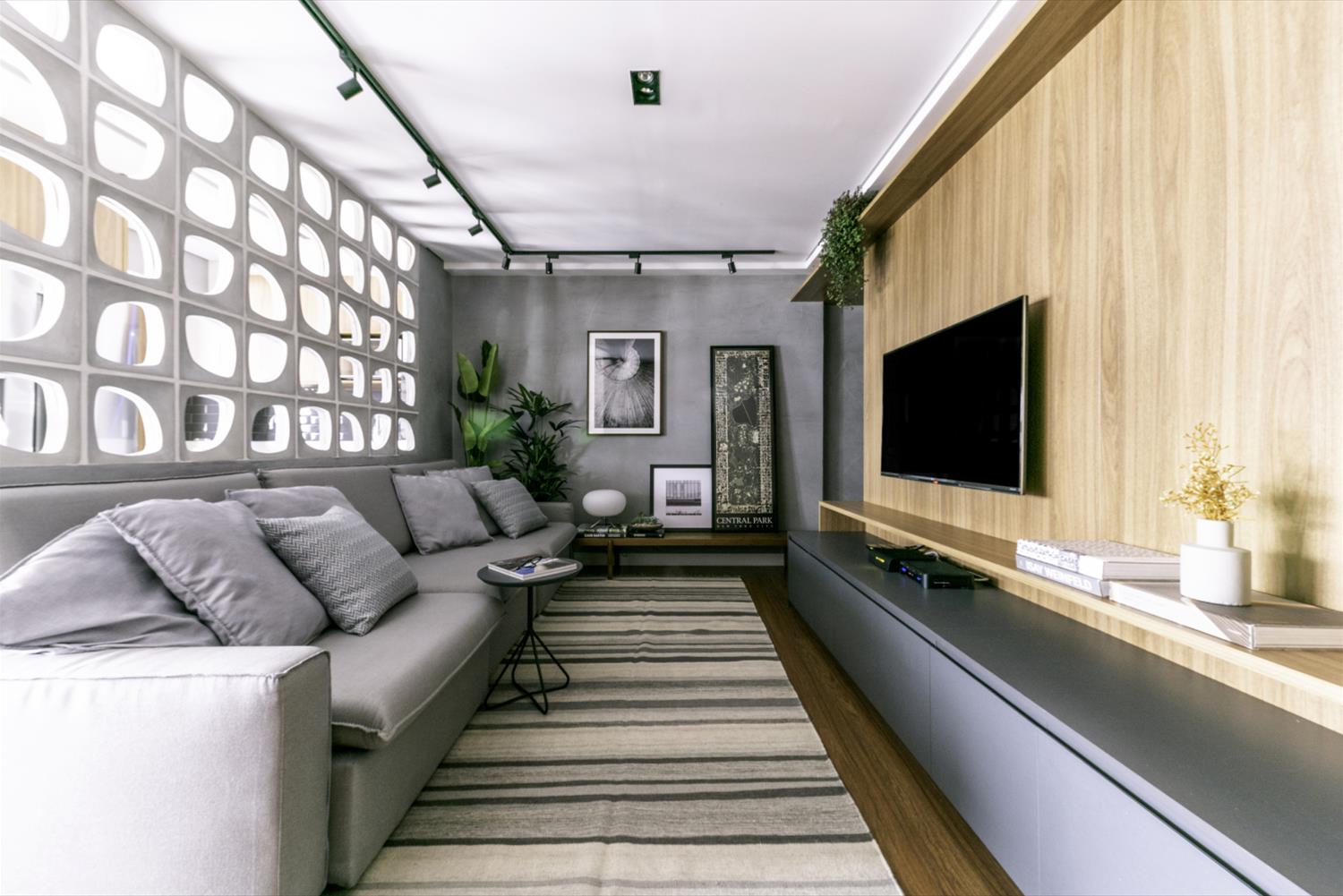 Ipiranga 公寓的创新设计-1