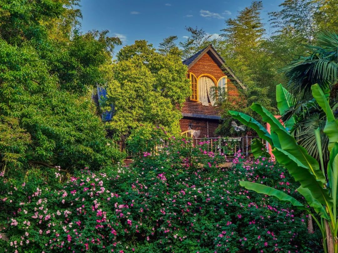 三棵树庄园 | 摄影家的心灵秘境-14