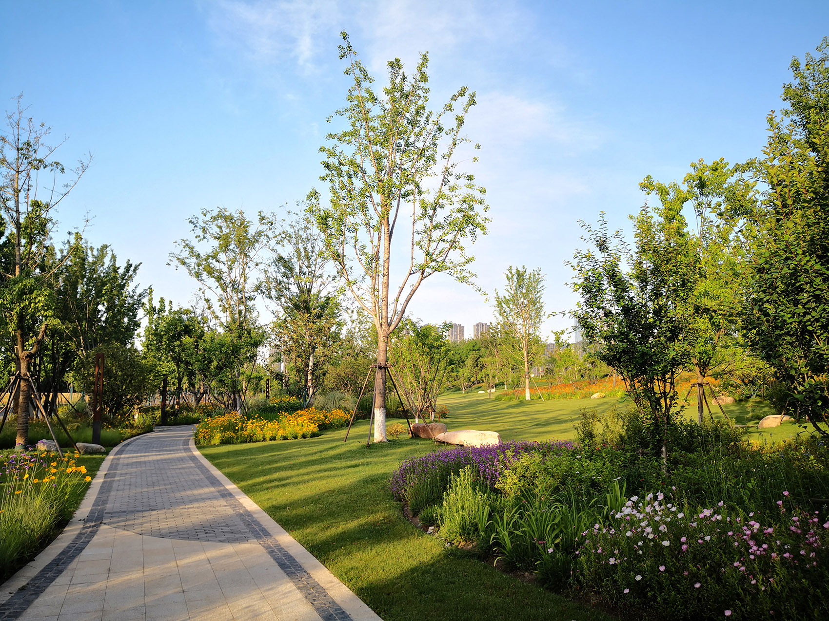 新加坡·南京生态科技岛-99