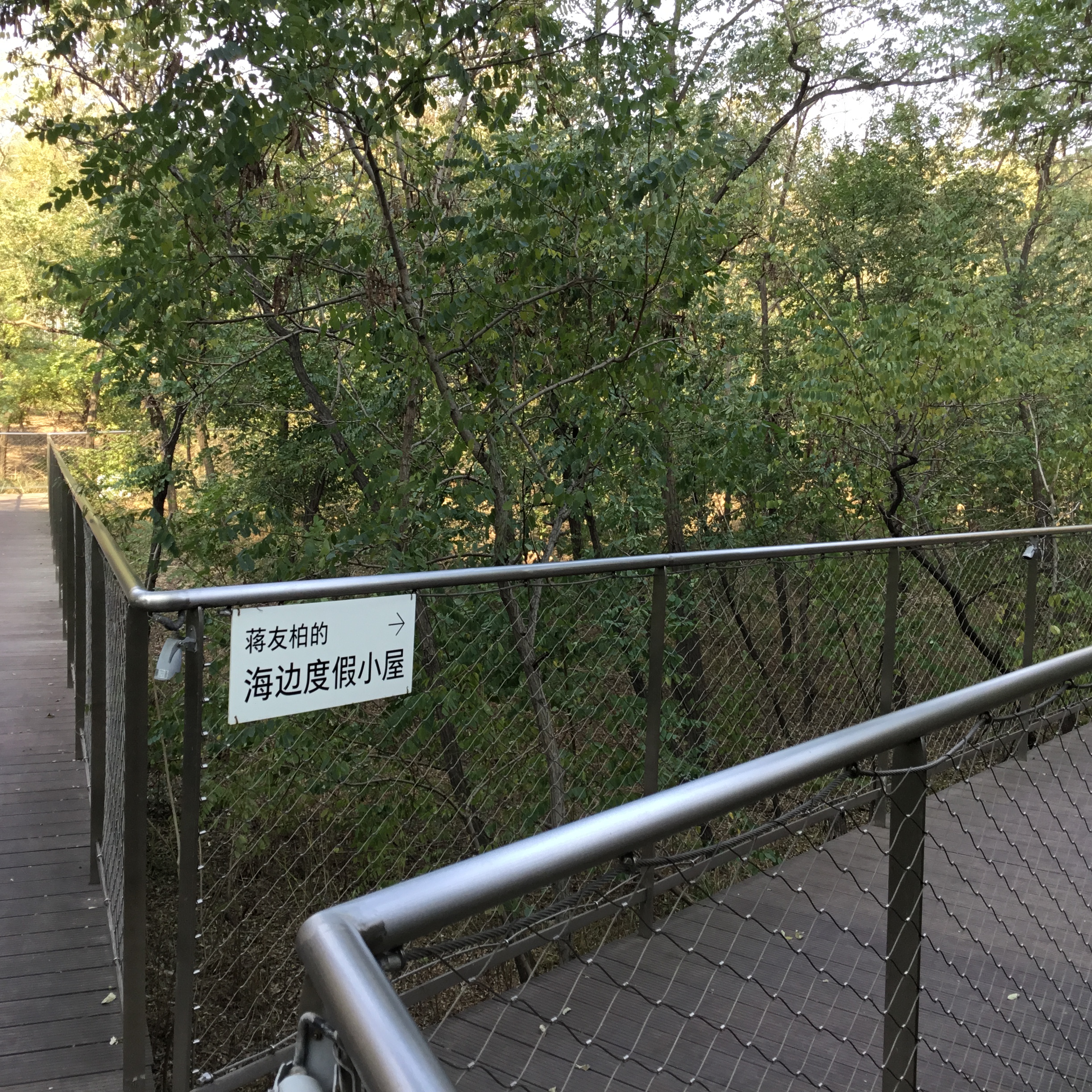 阿那亚的景色-11