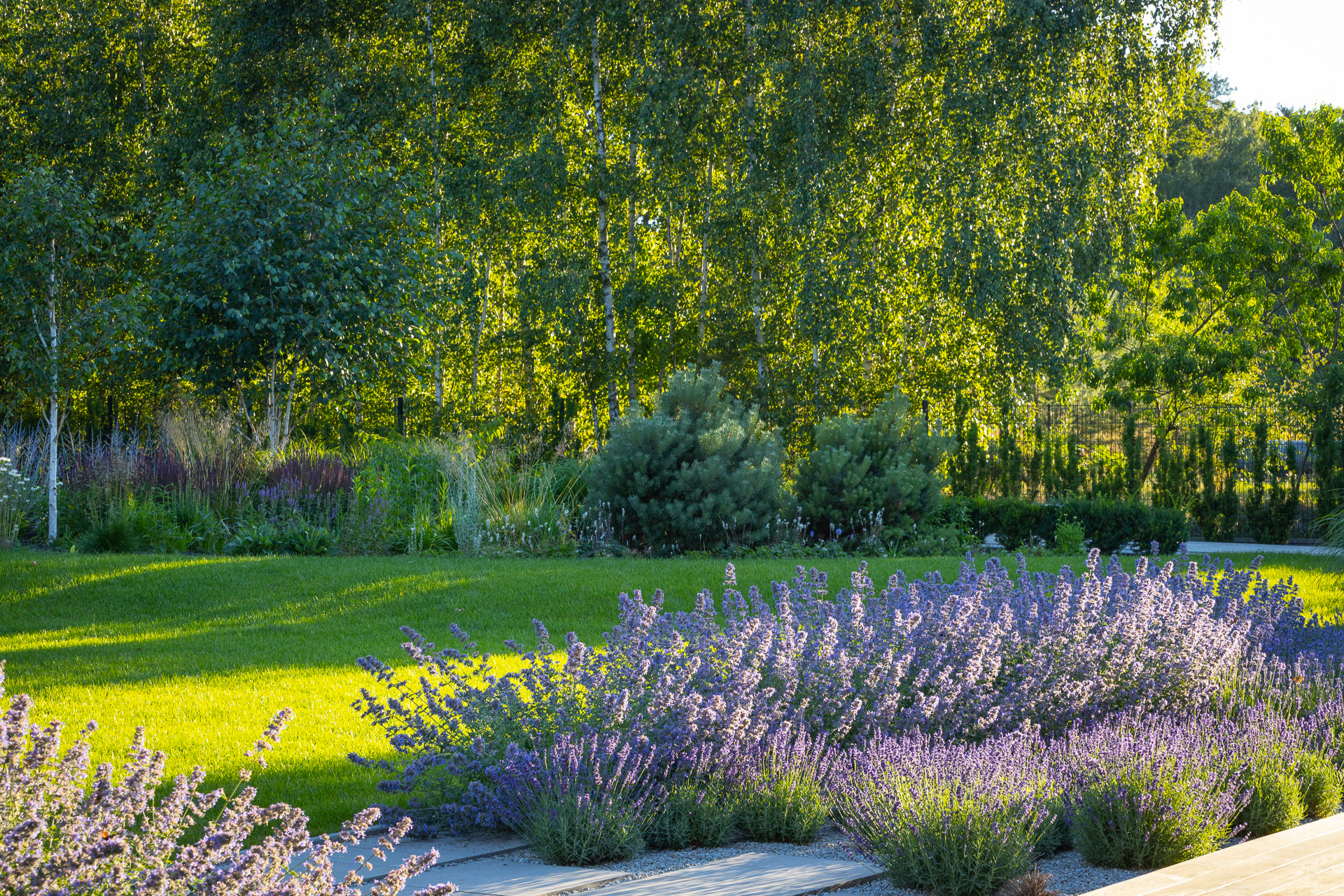 TUREK · ogród z ryską（有风险的花园 · 图雷克）-23