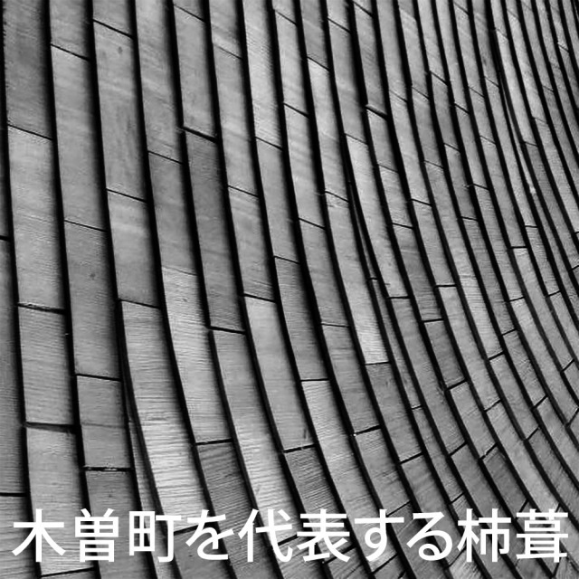 木曽町役場本庁舎・防災センター丨Florian Busch Architects-33