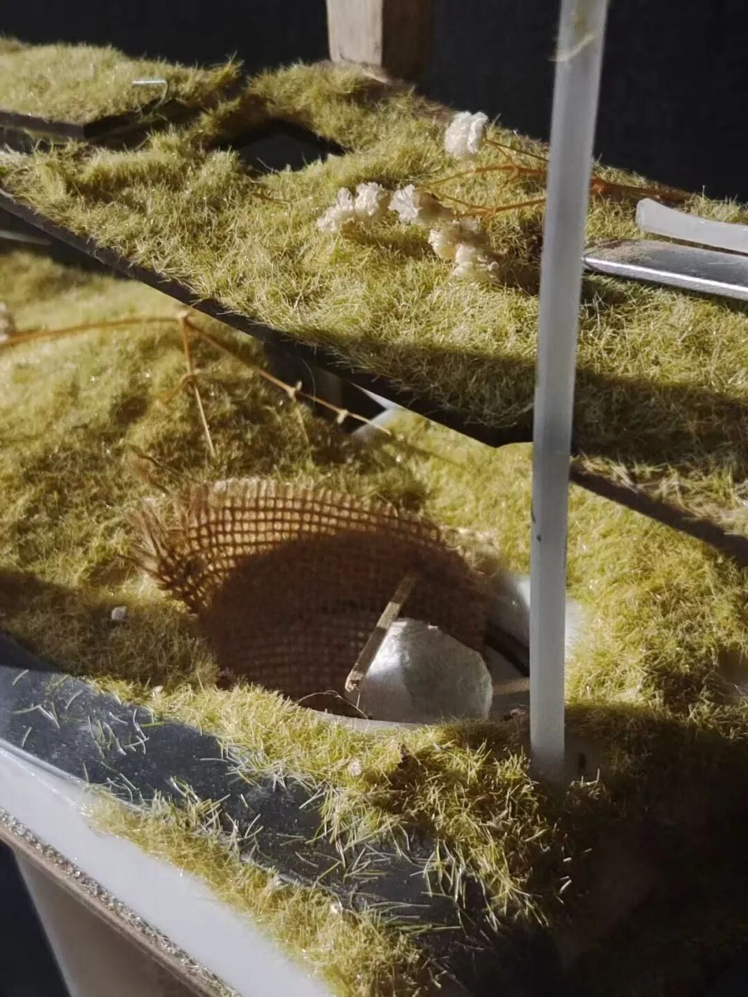 清华建筑毕设“四次元口袋”：聚焦人宠细腻情绪的互动体验空间！“建筑材料转译自然+交互装置植入空间”塑造垂直向度人宠空间戏剧发生体-23