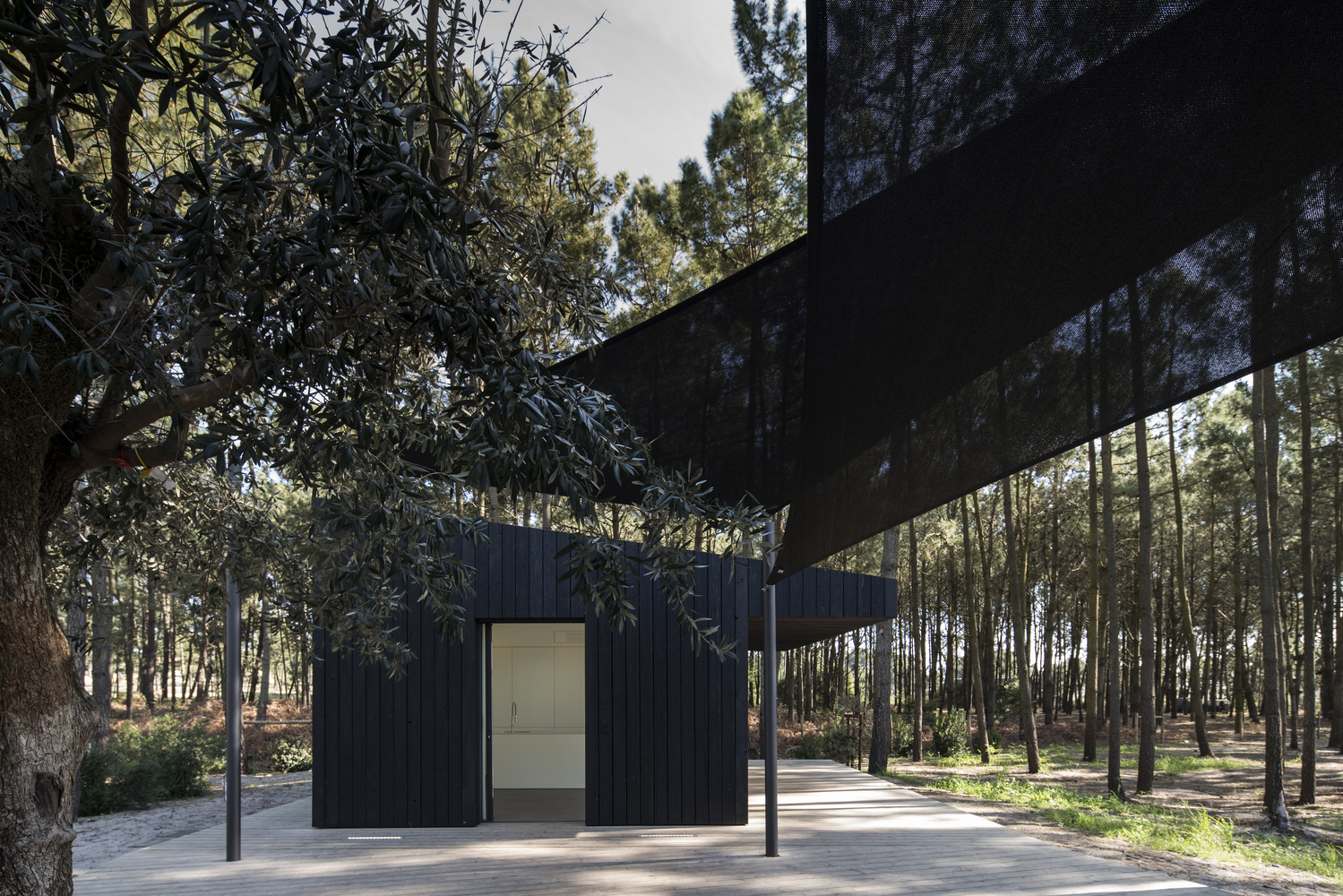 葡萄牙林中的两个黑色小屋-14