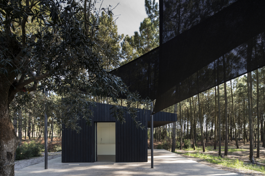 葡萄牙林中的两个黑色小屋-14