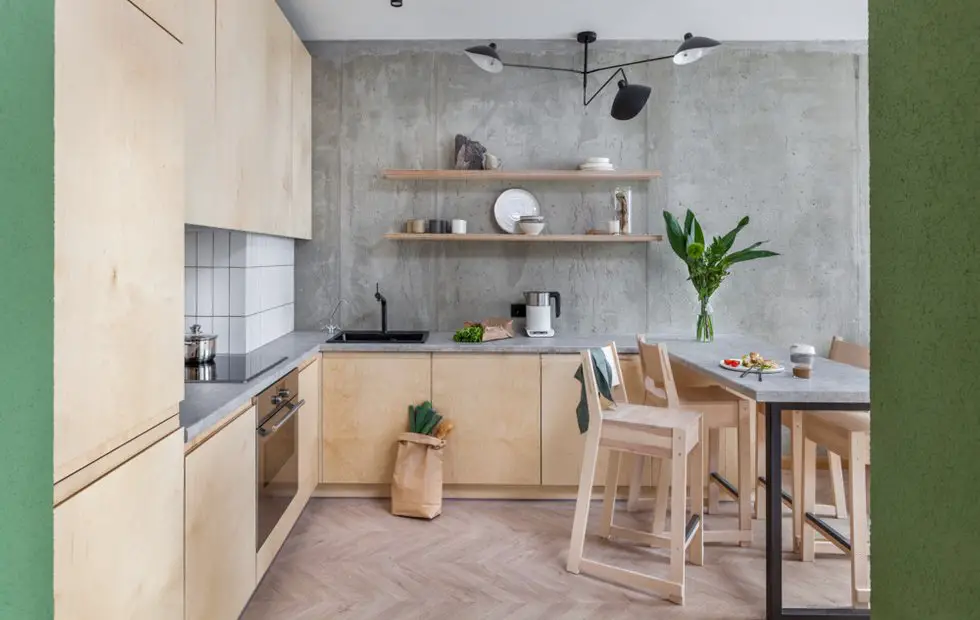 混凝土与胶合板的艺术碰撞 | 45 平米小公寓的极简设计-1