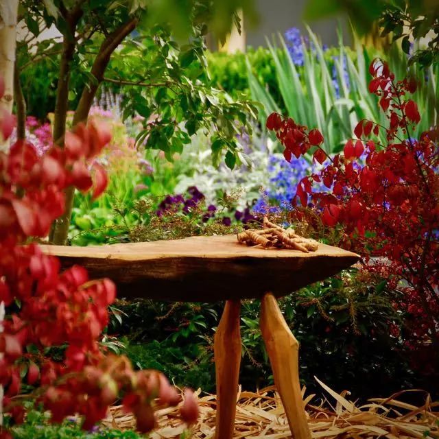 世园会澳大利亚园丨中国北京-108