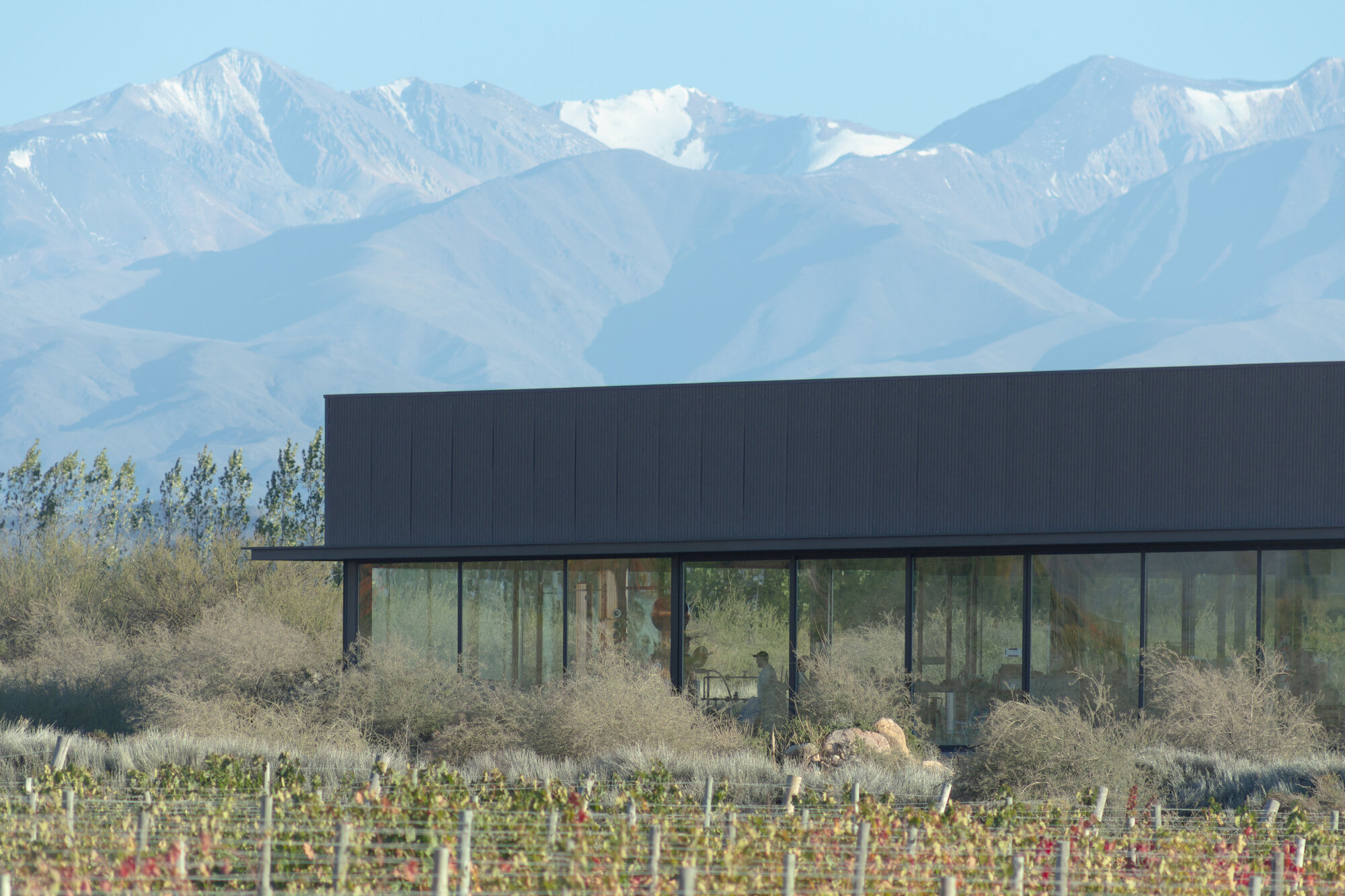 桑托斯烈酒酿酒厂丨阿根廷丨Valeria Moreno-14