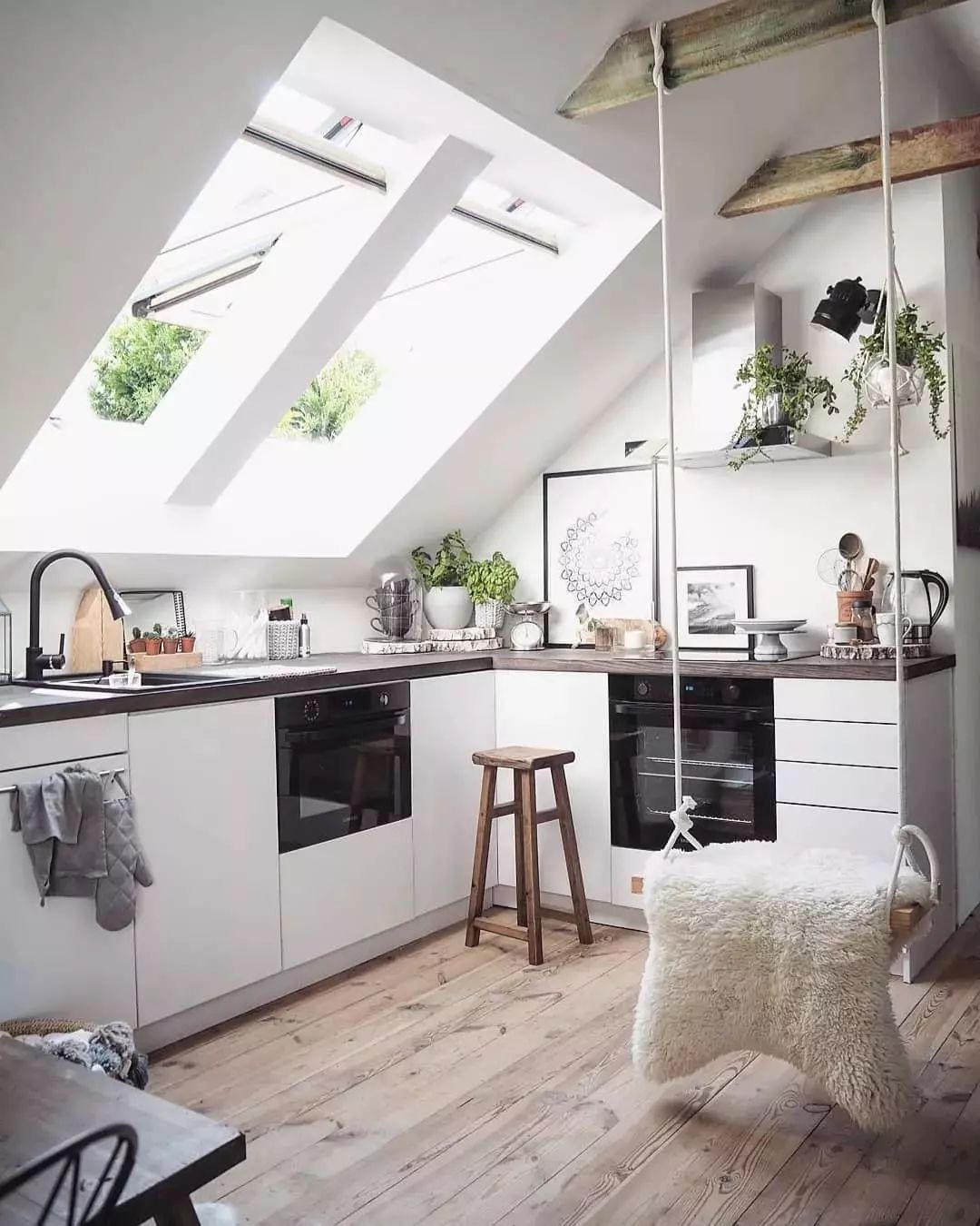 绿植装点现代家居，事半功倍！-15