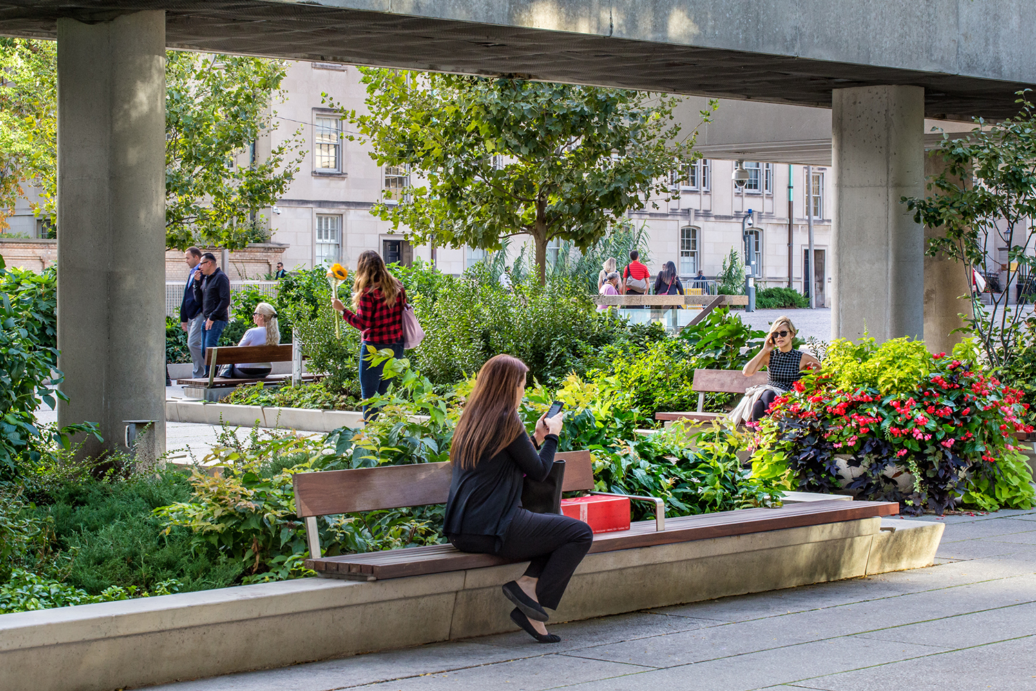 多伦多 Nathan Phillips Square 更新 · 现代公共空间的典范-15
