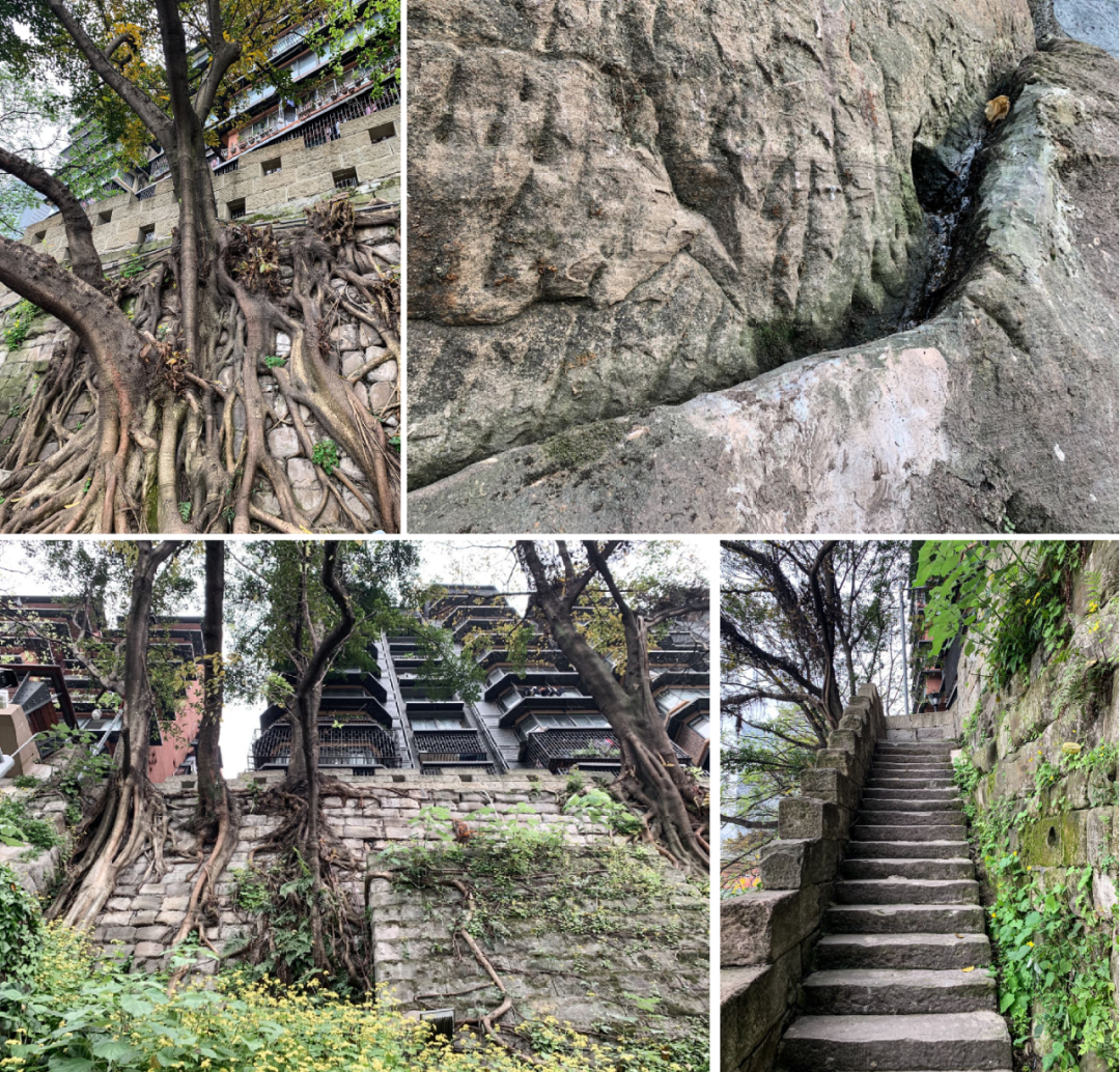 戴家巷崖壁公园丨中国重庆-52