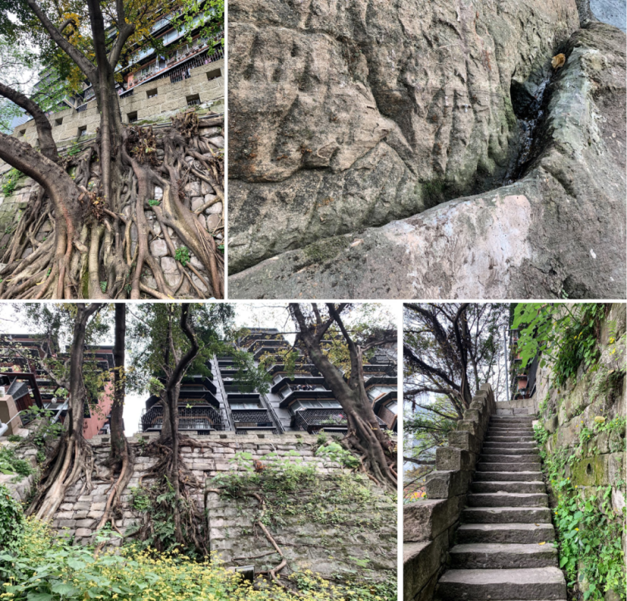 戴家巷崖壁公园丨中国重庆-52
