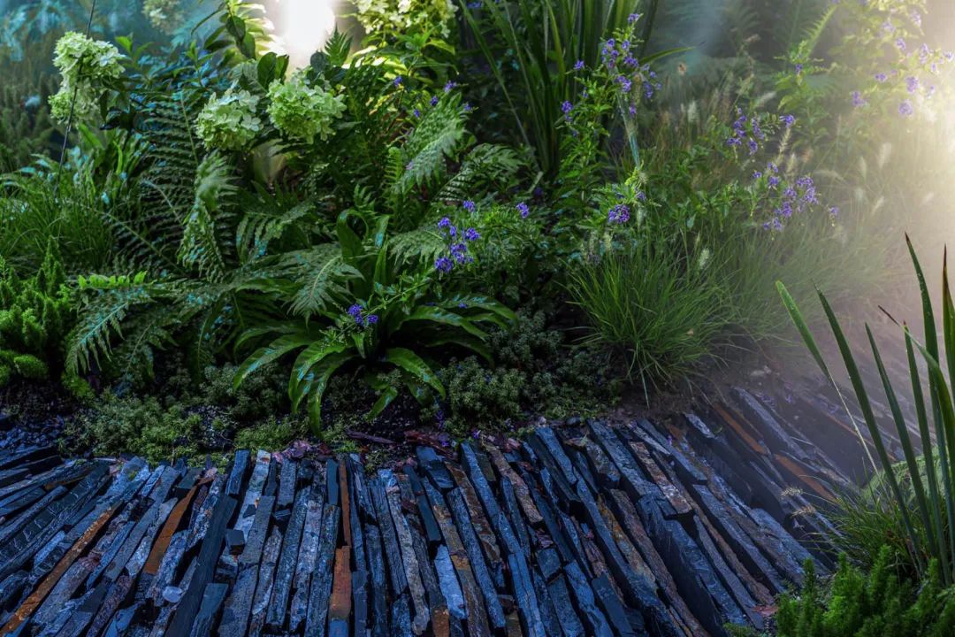 钱塘东方 Co-Life 生活体验馆 | 美食图书馆的收敛与互融设计-95