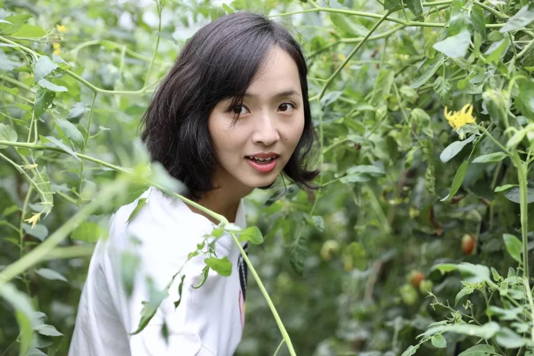 山高水长,农庄诗意的栖居-23