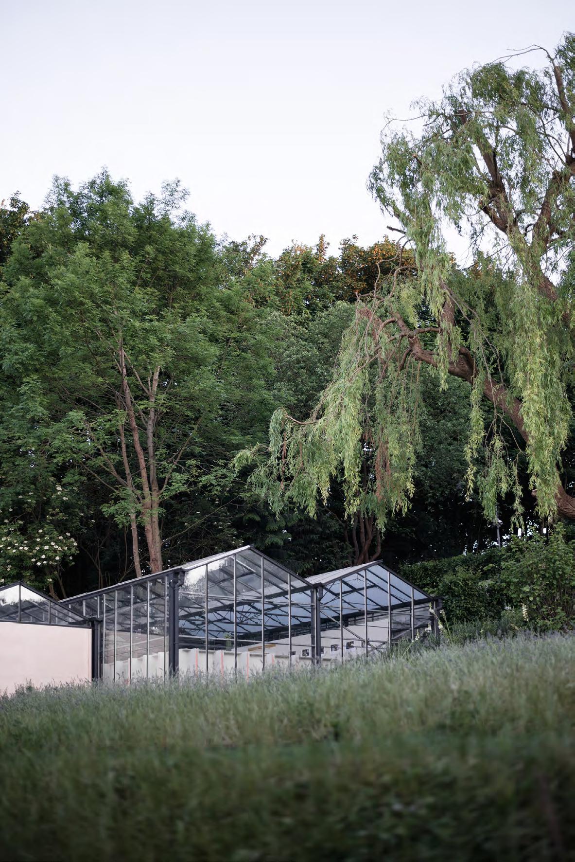 Derelict glasshouse in London transformed by HASA Architects    在伦敦的废弃温室，由HASHAS建筑师改造-11