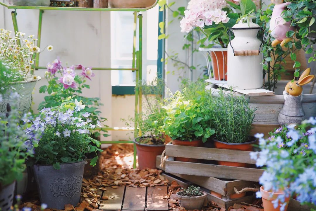 5㎡小阳台，打造治愈系小花园-15