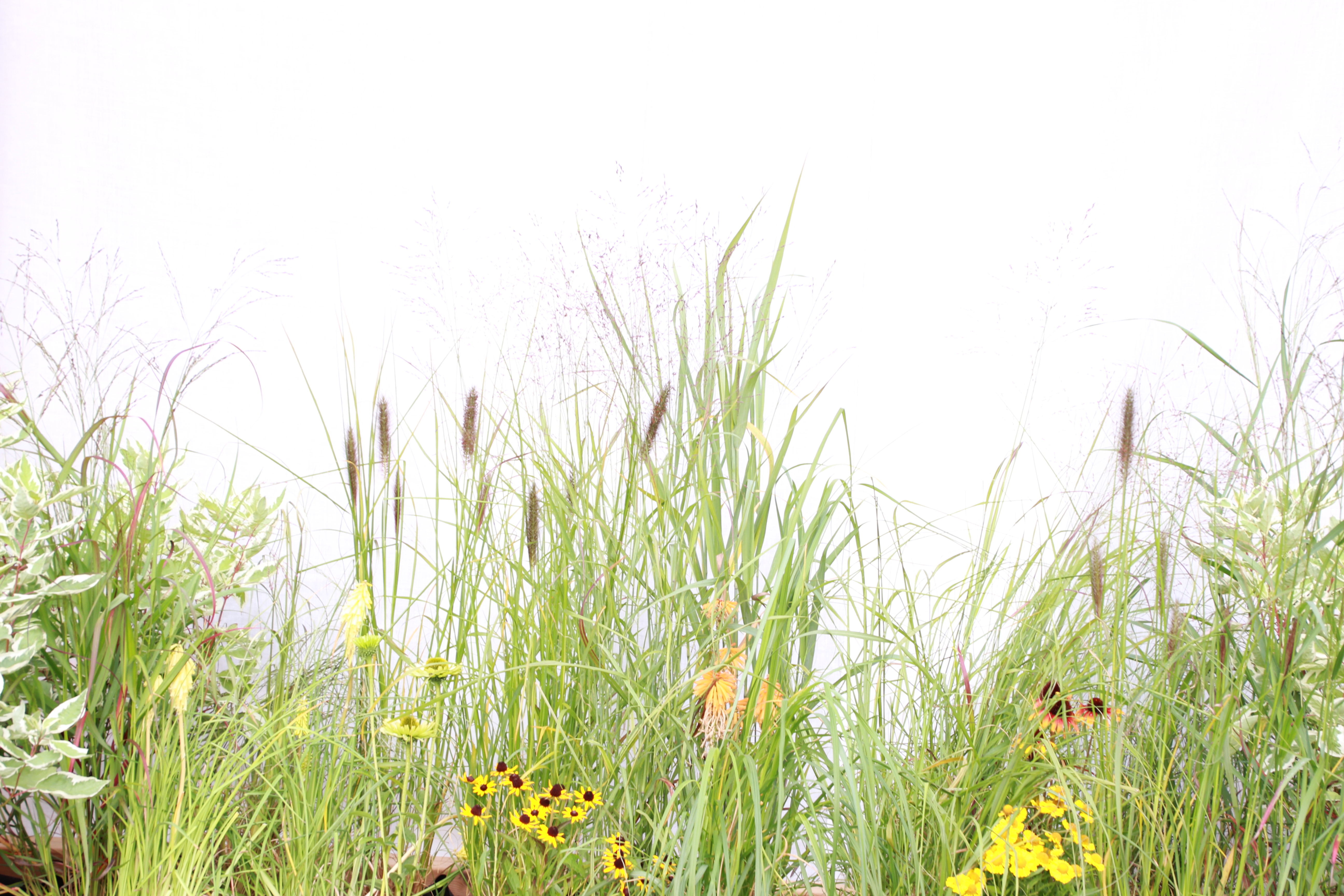 无明确信息丨LithuaniaKaunas-6