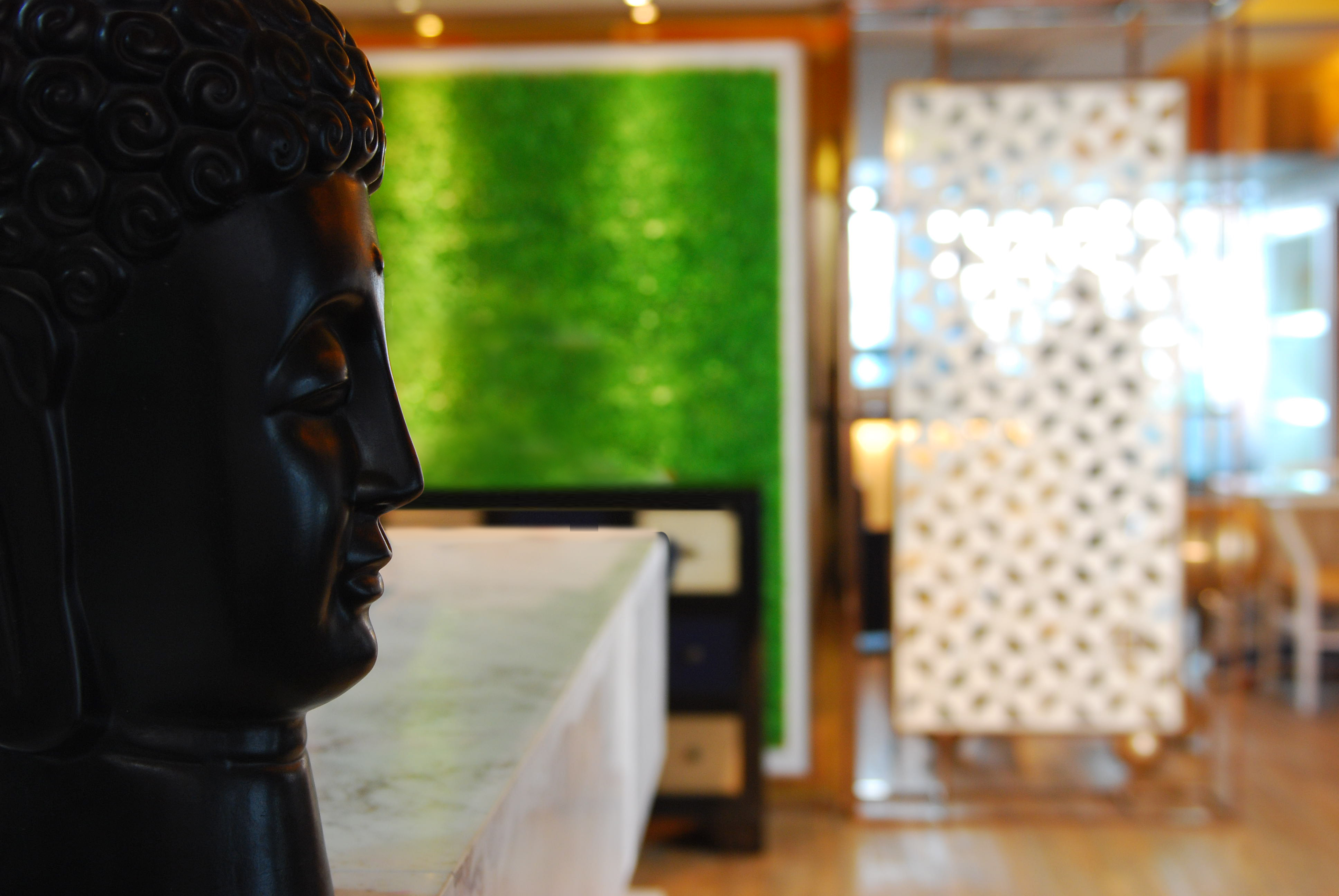 张林  （金典铭筑办公中心）-25