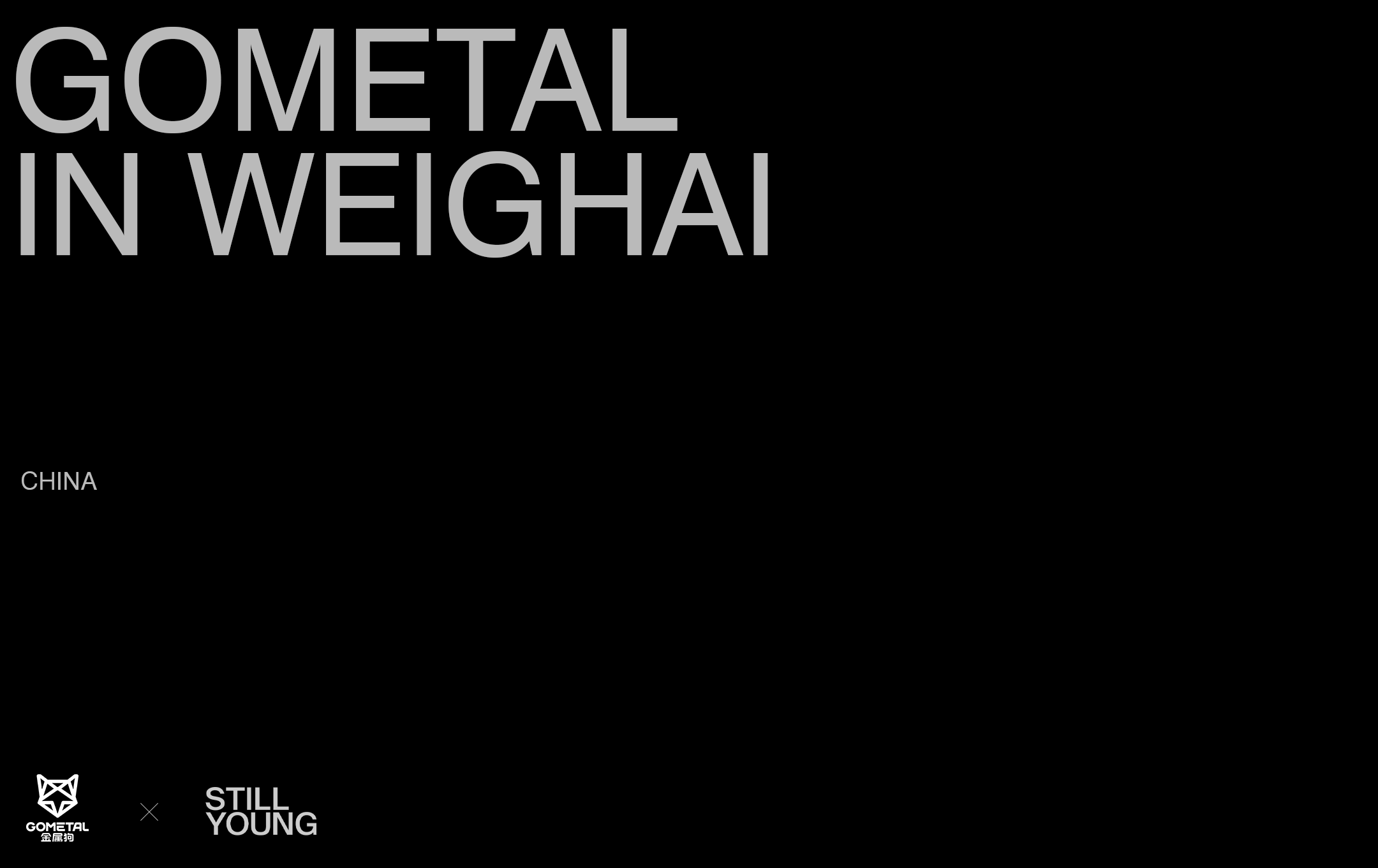 在威海使用金属材料（注：GOMETAL不是常见英文词汇，推测可能是GO METAL，这里按使用金属材料这种较宽泛理解翻译，若有更准确背景，可能需要调整） 丨中国威海-0