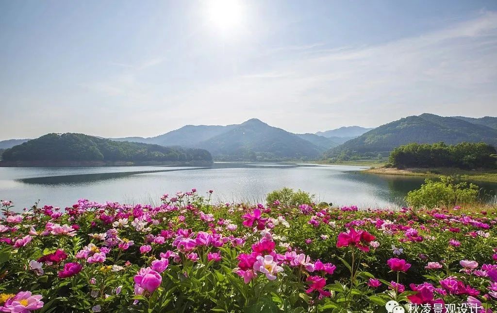 园林文化——寓意解析 | 四君子、花王与雪中四友-193