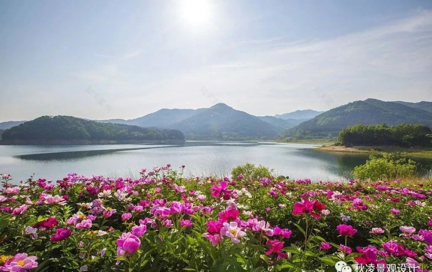 园林文化——寓意解析 | 四君子、花王与雪中四友-193