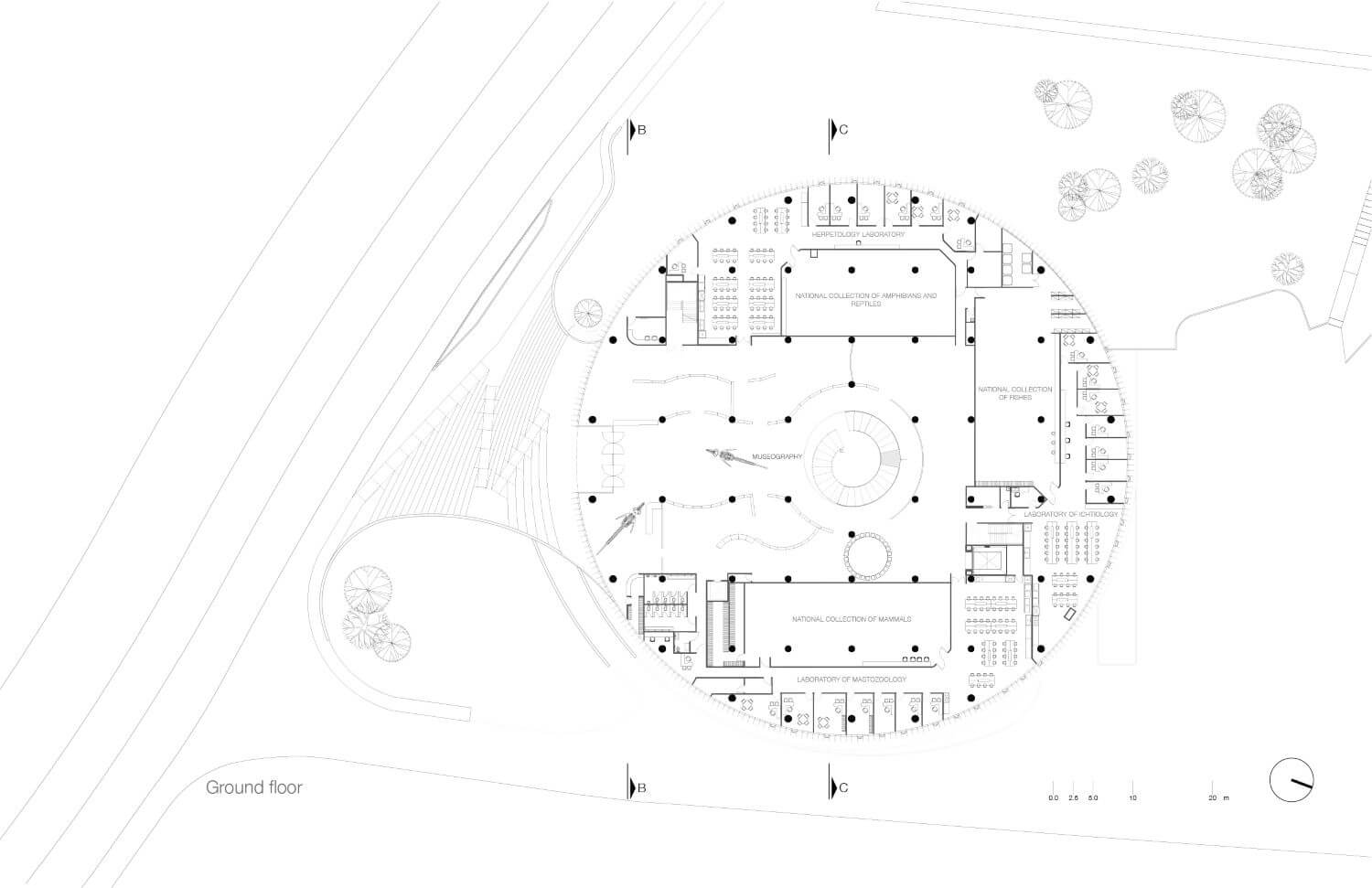 国家生物多样性馆丨墨西哥墨西哥城丨Fernanda Ahumada + FREE-47