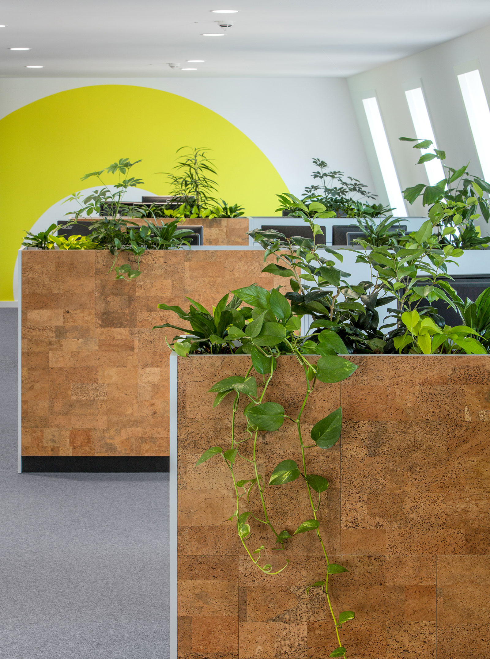 Monday Consulting办公室室内设计丨德国汉堡丨Parat-7