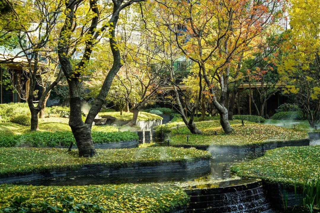 义乌澐璟丨中国金华丨gad杰地设计-3