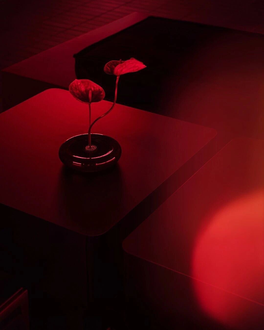 奥肯酒吧丨比利时丨Erased Studio-58