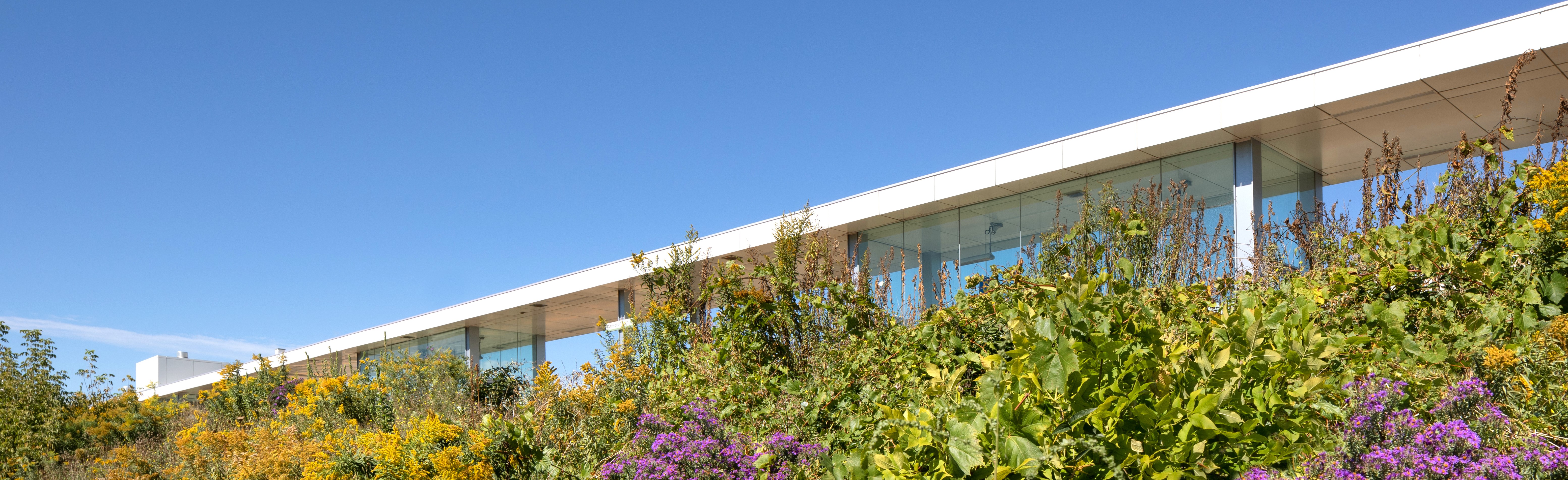 吉尔伍德 GO 车站丨加拿大多伦多-31