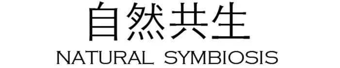 探索“看不见的自然”-45