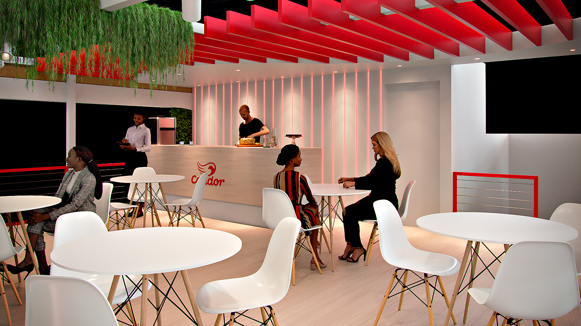 Condor | Apas 2025-17