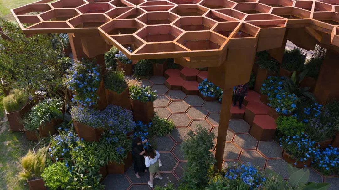 2023德阳市花月季展德阳园 | 齿轮花园-41